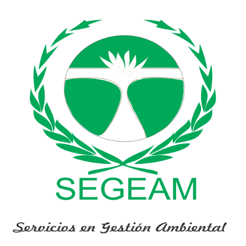 Diseño sin título - 2024-04-17T114259.268