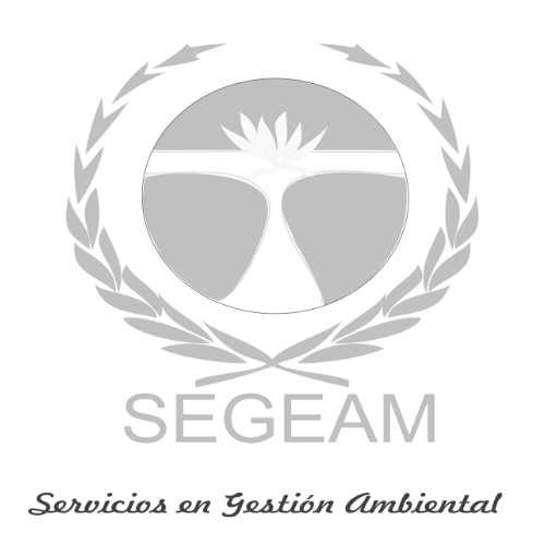 Diseño sin título - 2024-04-17T124924.523